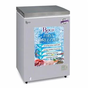 ROCH CONGELATÉUR RCF-150-1 150L GRIS