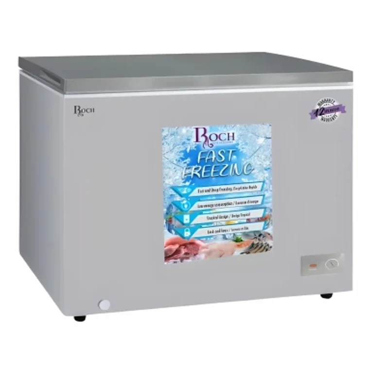 ROCH CONGELATÉUR RCF-300-1 300L GRIS