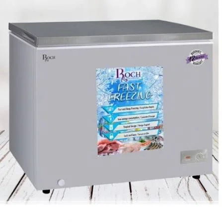 ROCH CONGELATÉUR RCF-350-B 350L GRIS