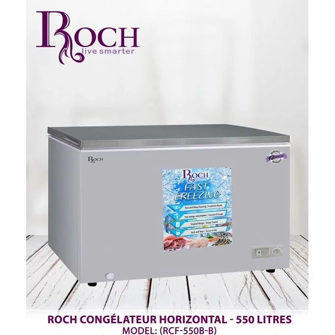 ROCH CONGELATÉUR RCF-550-1 550L GRIS