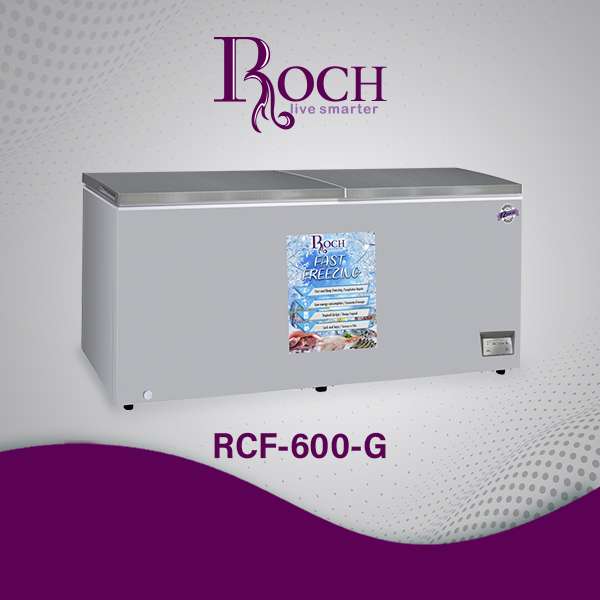ROCH CONGELATÉUR RCF-600-G 600L GRIS
