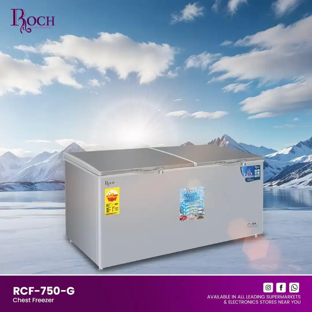 ROCH CONGELATÉUR RCF-750-G 750L GRIS