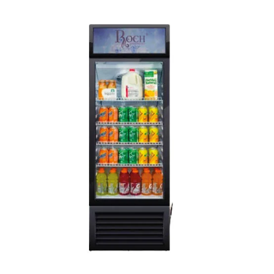 ROCH REFRIGERATEUR VITRINE RSF-260S-0